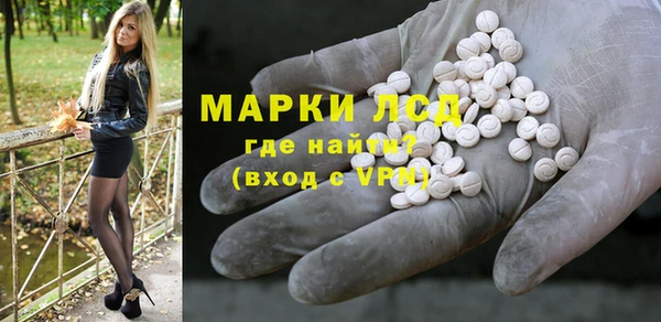 прущие грибы Балабаново
