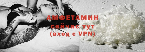 прущие грибы Балабаново