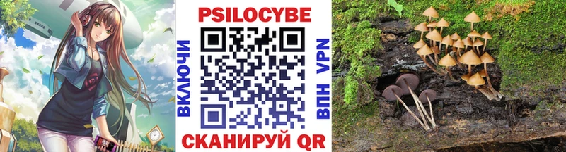 Псилоцибиновые грибы прущие грибы Белово